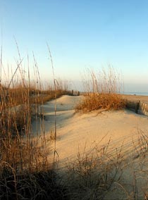 Stranddünen in der nähe von Cadiz